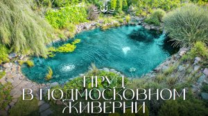 Пруд с карпами кои в подмосковном Живерни | Роскошный водопад | Ландшафт сада