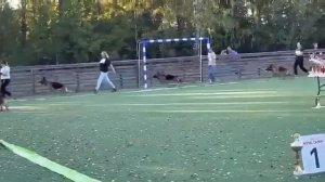 Рабочие суки Борисов-23. Вольфенкрафт Чиба - 3 ОТБОРНОЕ ОТЛИЧНО