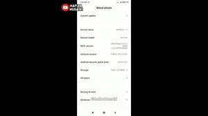 MIUI 11: Enable Developer Option Xiaomi Mi 9 Lite (malay)