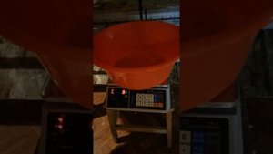 Радонежский перепел вес в 1месяц на Южной короне