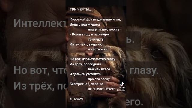 Три черты...