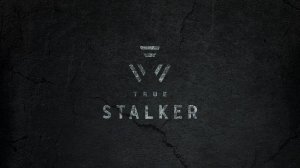 Финал True STALKER - две концовки и небольшой отзыв об игре #stalker #truestalker #концовка