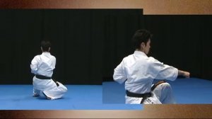 Kata_Karate_Kyokushinkai_Ката_Карате_Киокушинкай_часть_2