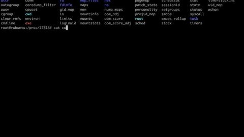 Recovering executables