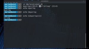 Linux Bash Scripting Basics - Part 8, Declarations