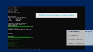 How to program a STM32WB55 with STM32CubeProgrammer