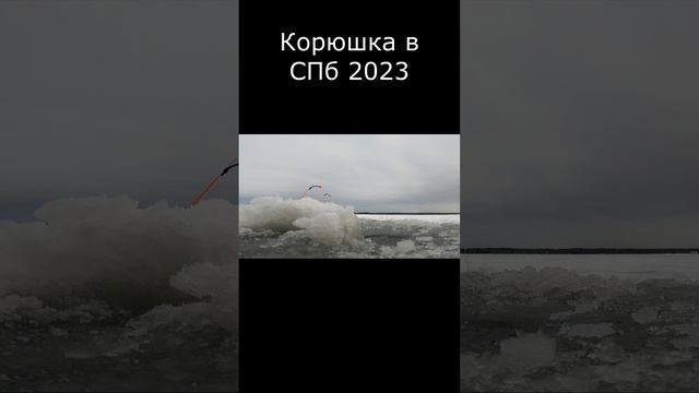 Корюшка в СПб 2023 #shorts #рыбалка2023 смотреть онлайн
