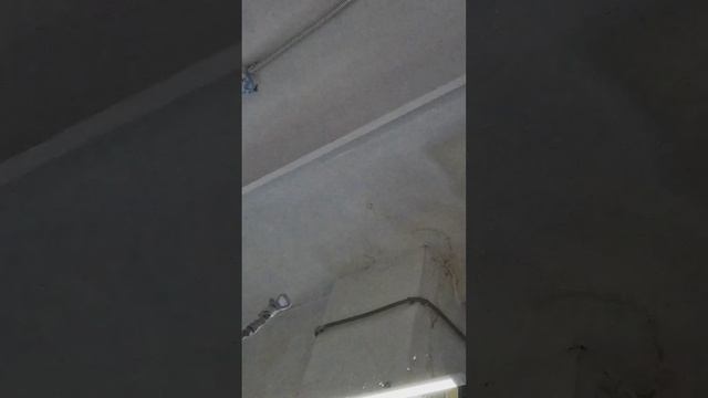 Нашли ИДЕАЛЬНОЕ решение для ПОБЕЛКИ! #покраска #покраскапотолка #маляр