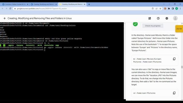 Creating, Modifying and Removing Files and Folders in Linux || Coursera || Week-1