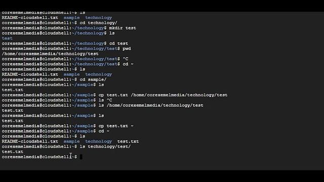 Mastering Linux Commands A Beginner's Guide to Essential Terminal Basics