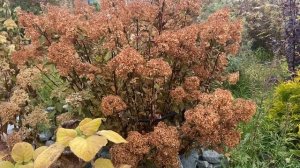 Холодно, морозно, а работать надо.