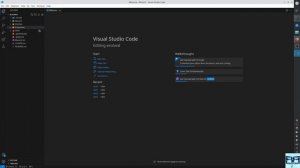 Настраиваем отладчик C#.NET в VSCode (Debug)