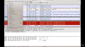 WireShark Полный курс Часть-1 #wireshark #анализтрафика