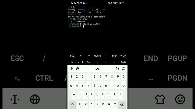 How To Run Linux Commands and Code on Your Mobile Phone