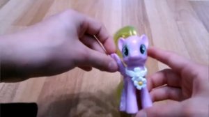 Обзор пони Flower Wishes