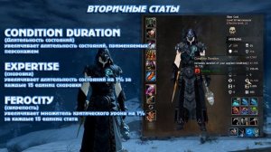 GUILD WARS 2 МИНИ ОБЗОР ПО СТАТАМ ПЕРСОНАЖА