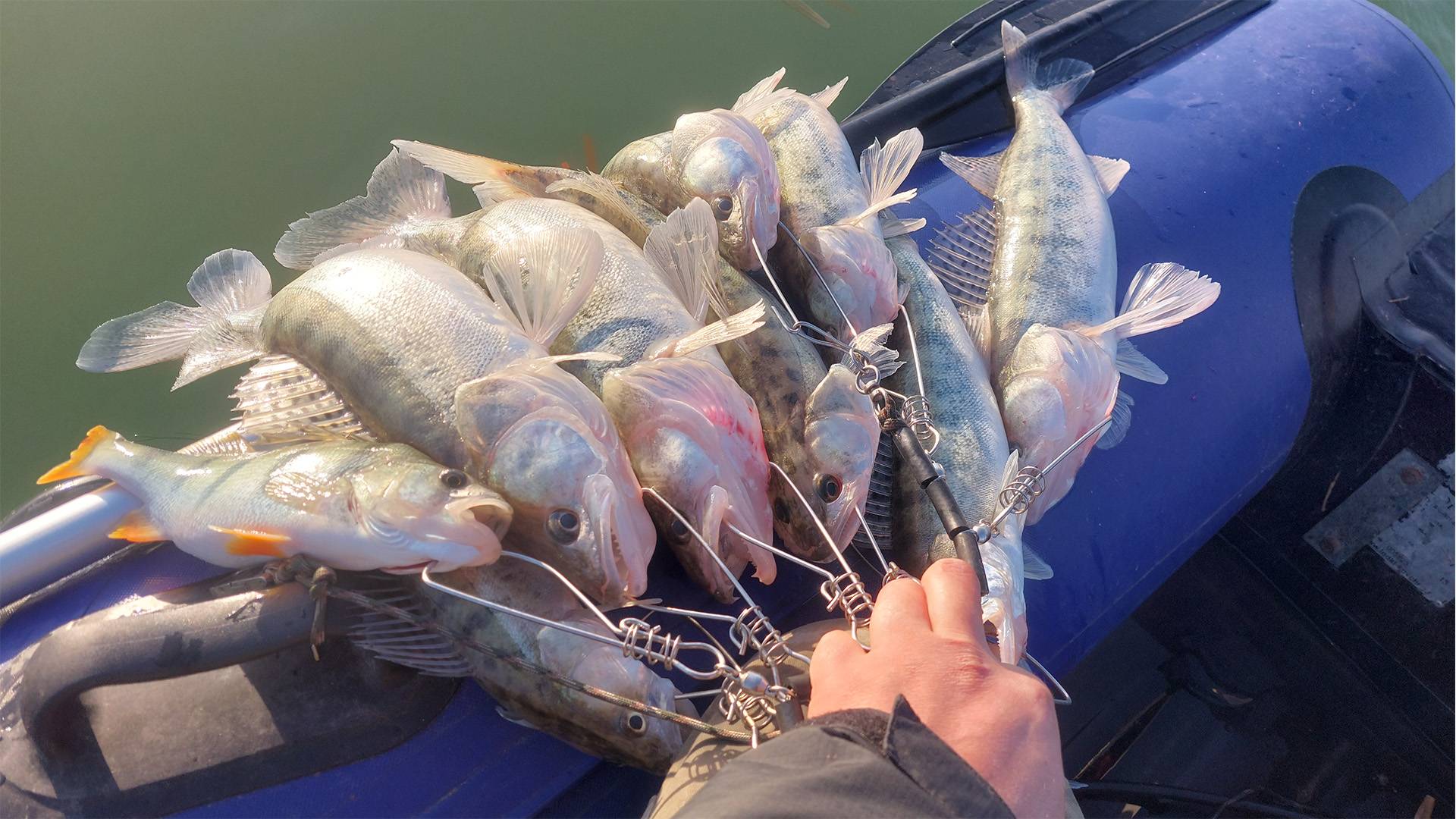 УДАЧНАЯ РЫБАЛКА В КРАЙНИЙ ТЕПЛЫЙ ДЕНЬ! СУДАК НА ДЖИК. КАРАСЬ НА ПОПЛАВОК. смотреть онлайн