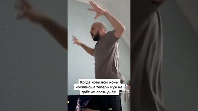 Изображает поведение котов