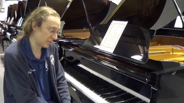 August Hoffman 152 ebony 2007 смотреть онлайн