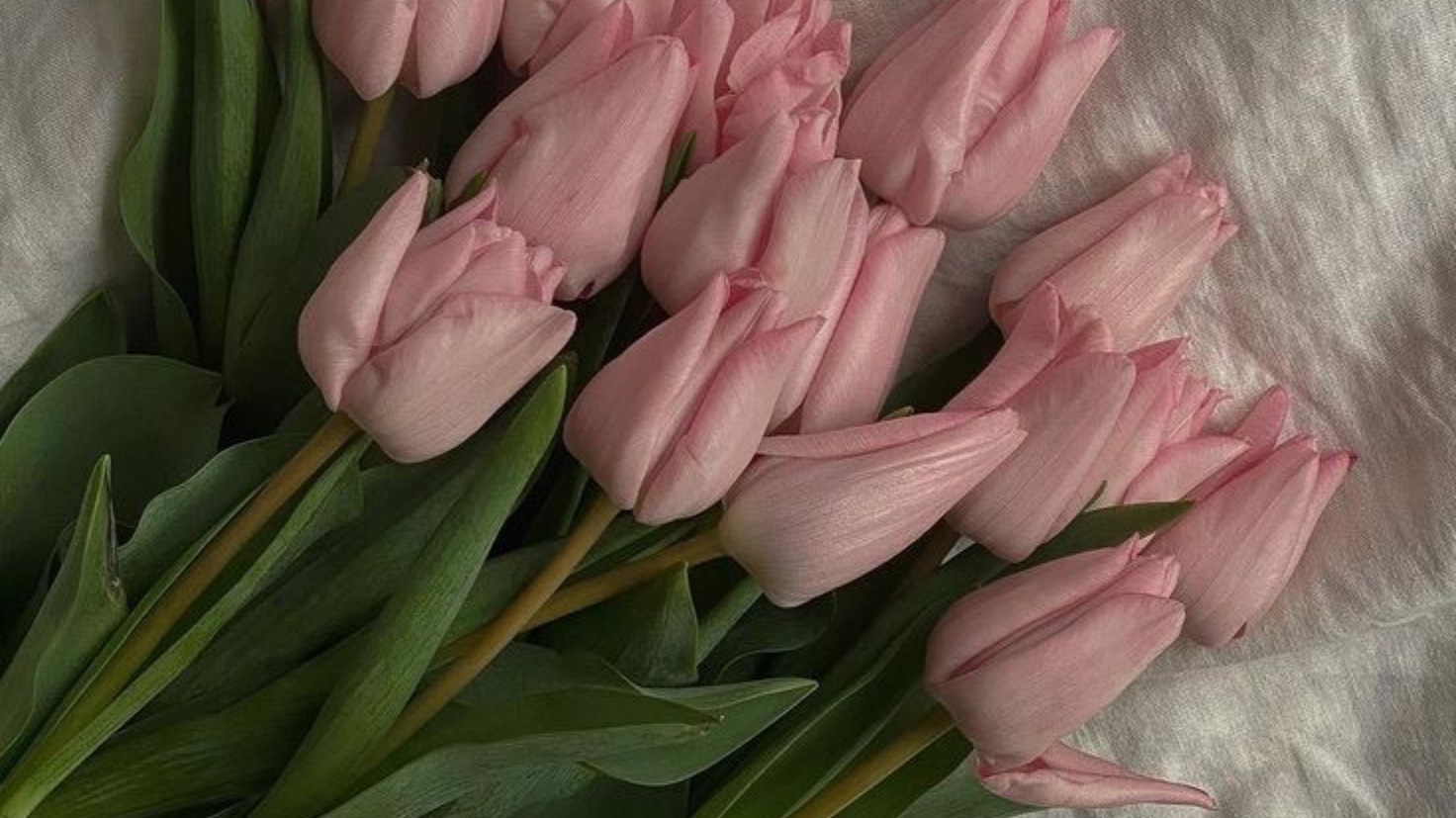 ИСПЫТАНИЕ НА ШКОЛЬНОМ ДВОРЕ! смотреть онлайн