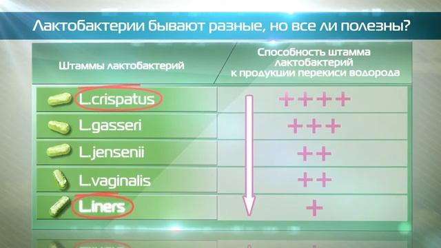 Лекция №3 - "Все ли лактобактерии одинаково полезны"? смотреть онлайн
