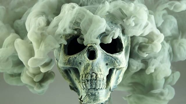 Shadows - Anno Domini Beats [NoCopyrightMusic]
