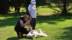 "Два сезона". Мероприятия "Пробный день", "Инструкция "по-эксплуатации" хаски"