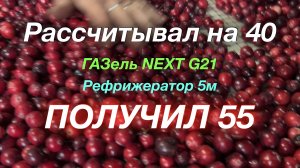 Впереди зима Кострома не отпускает ГАЗель NEXT G 2,5 Рефрижератор 5 м