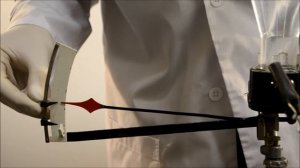 Гидростатический парадокс