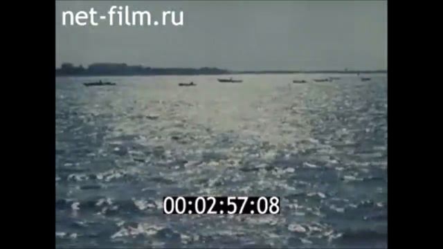 Об охране природы Волжского бассейна. 1975 год. Док.фильм СССР смотреть онлайн