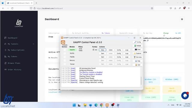 How To Use Localtonet