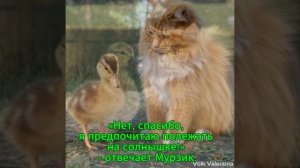 🌟🐥 Приключения маленького утенка! 🐥🌟