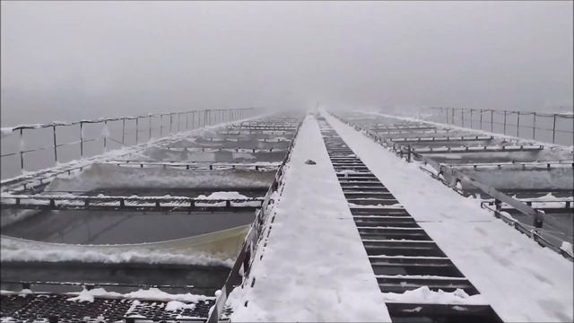 Рабочий день рыбовода. Опасен ли снег в садковом рыбоводстве? смотреть онлайн