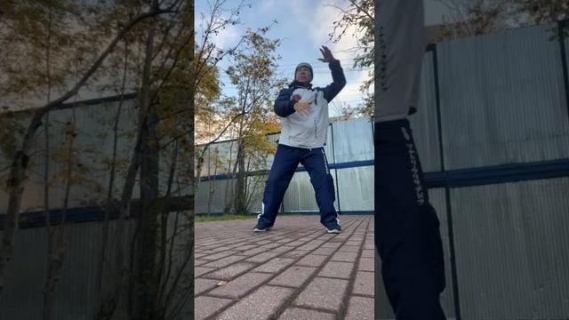 Ицюань онлайн /  Ченбао и Хуньюань Чжуан / Чжанфа Фали / Комплекс Казуми / Спец. столбы (7.10.24)