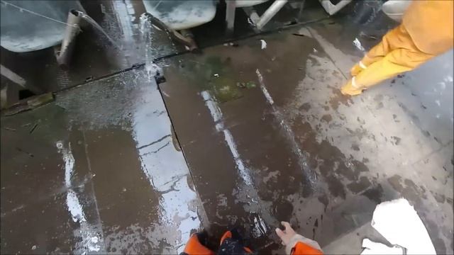 Инкубация толстолоба и амура: выбор производителей, получение икры, выклев личинки смотреть онлайн