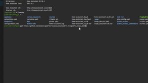 Reolink Doorbell 2-Way Audio In Home Assistant Using Frigate