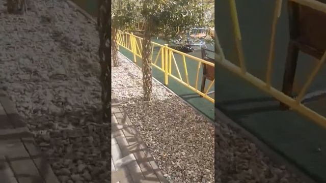 Необычная посадка кустов