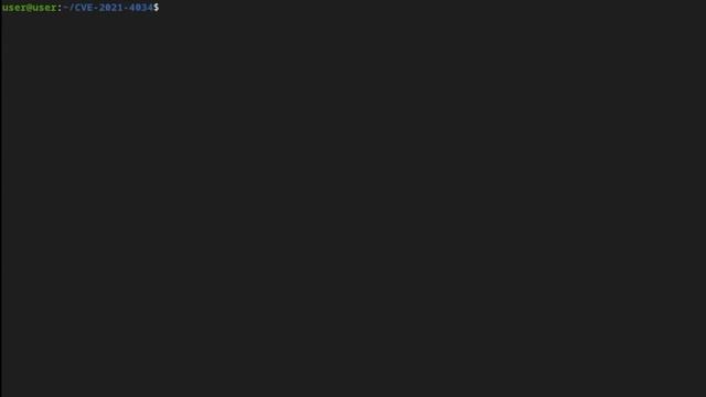This Linux Exploit Allows ANYONE to get ROOT ACCESS