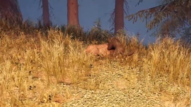 Far cry primal black Rare Dhole