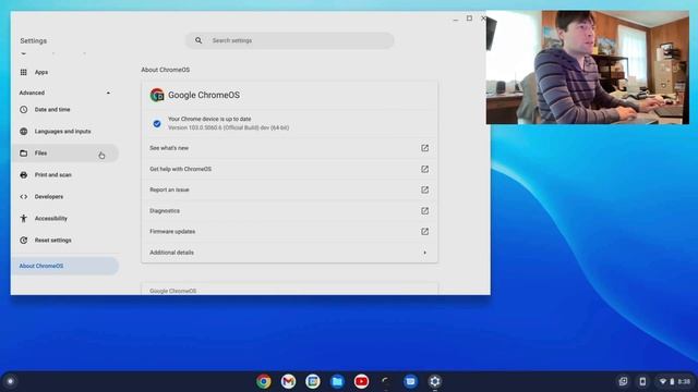 Testing Multiple Linux Containers on ChromeOS Flex