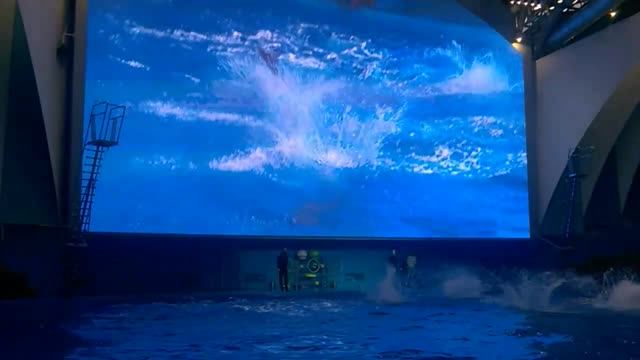 Океанариум.Русский остров. г. Владивосток 2018г. смотреть онлайн