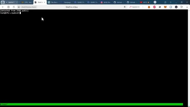 📌Майнинг Qubic без комиссии на HiveOS. Настройка через консоль процессора и видеокарт