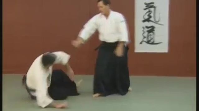 TW Ai Hanmi katate dori, Shomen uci IRIMI NAGE - Christian TISSIER