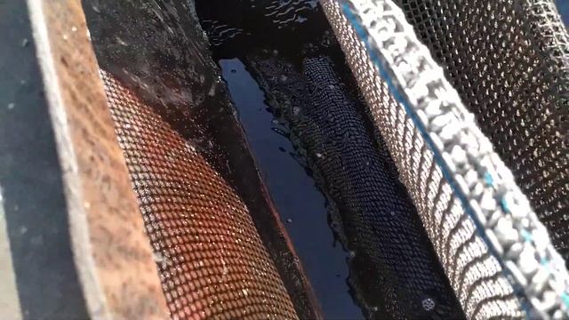 Такого нереста товарного карпа в садках я еще не видел! Рефтинский рыбхоз 2021 смотреть онлайн