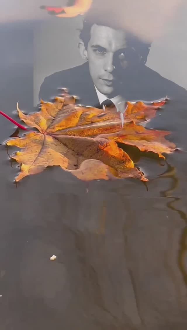 Glenn-Gould-Leonard-Rose-play-🅱️🅰️CH смотреть онлайн