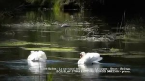 BORISLAV STRULEV - SWAN - Le Cygne - Лебедь