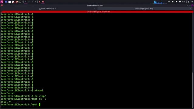 Linux Privilege Escalation #1 - Bilgi Toplama смотреть онлайн