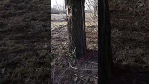 Сиреневый парк Херсон 1 марта 2023