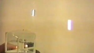 Физическая оптика. Дисперсия. Водяные призмы (видео)