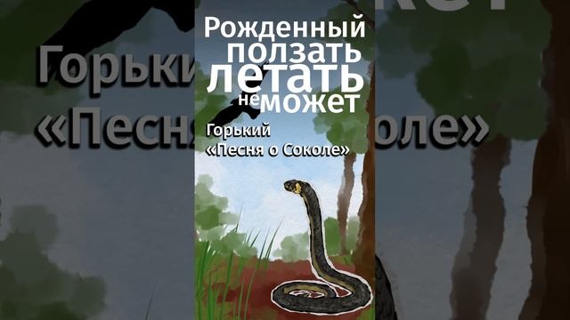 Откуда они? Знаменитые афоризмы из книг. Ссылка на бесплатную подписку в MyBook в комментах! #shorts